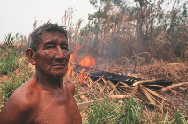 Élection présidentielle brésilienne : la déforestation, enjeu majeur mais peu évoquée