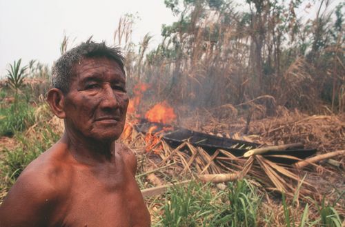 Free Shirtless Indigenous man standing by a small fire in a dry, grassy wilderness setting. Stock Photo