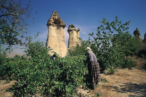 คลังภาพถ่ายฟรี ของ cappadocia, การก่อตัวของหิน, ตุรกี