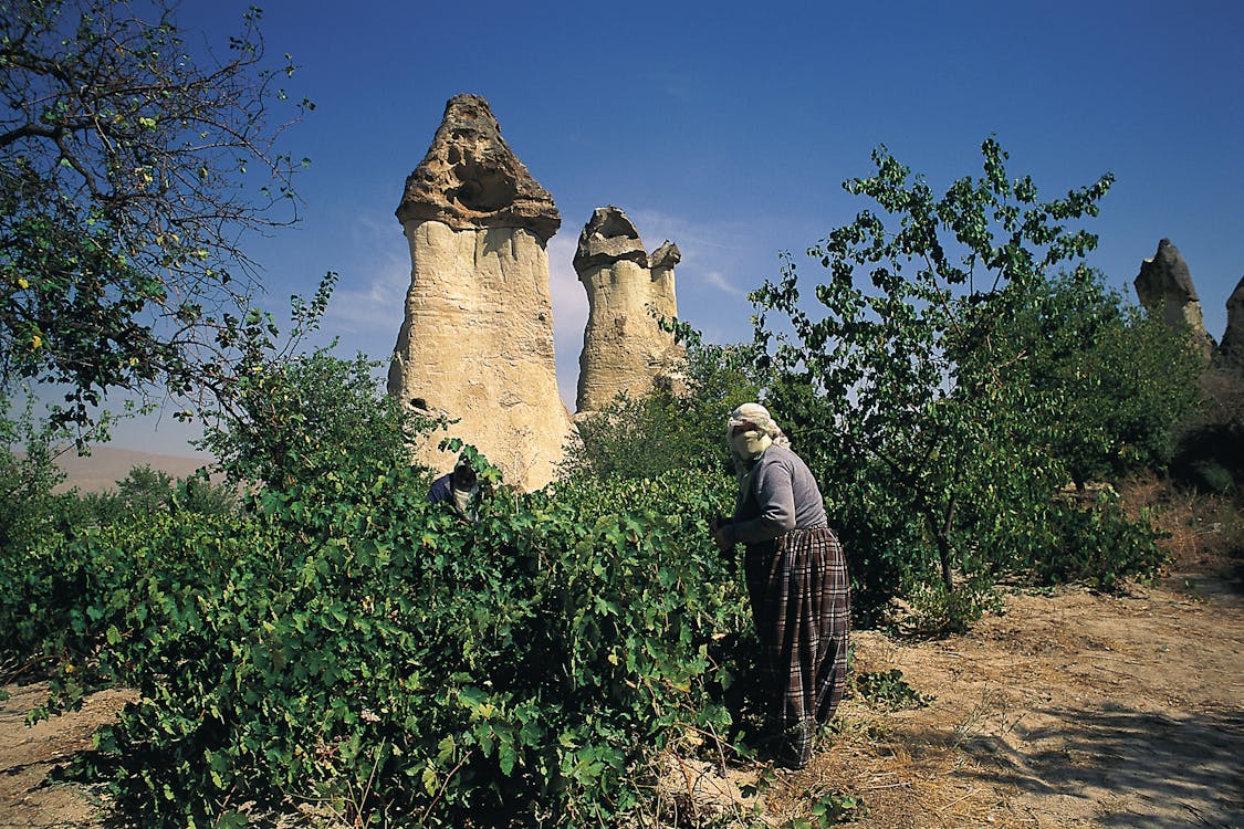 คลังภาพถ่ายฟรี ของ cappadocia, การก่อตัวของหิน, ตุรกี