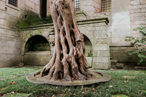 Foto stok gratis gereja, guimaraes, landmark lokal