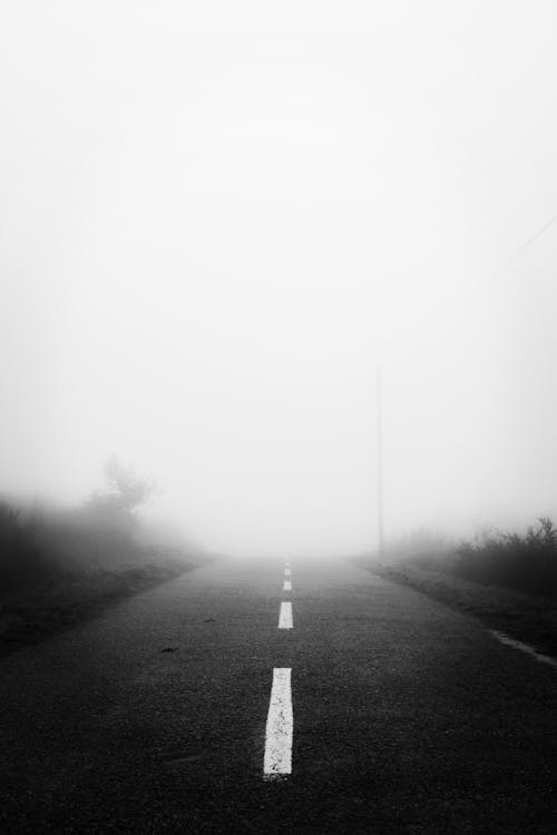 Foto stok gratis hitam & putih, jalan, kabut