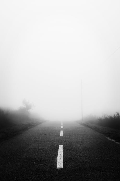 A black and white photo of a road in the fog