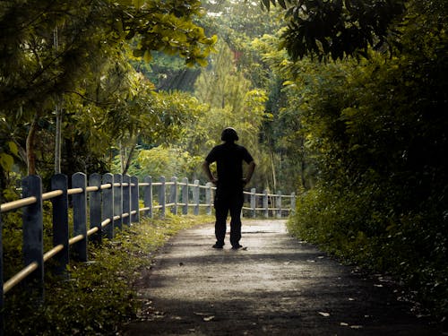 Foto stok gratis alone, human, hutan