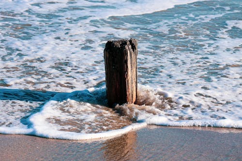 Gratis lagerfoto af bølge, skum, strand