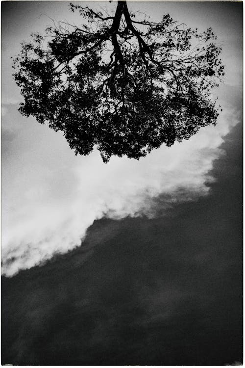 Základová fotografie zdarma na téma cákání, černobílý, dřevěný
