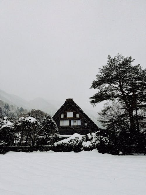Wooden House in Winter Mountains