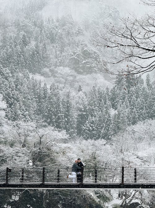 Shirakawago