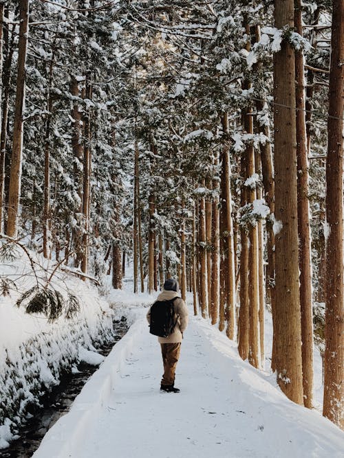 Person with Backpack in Forest in Winter