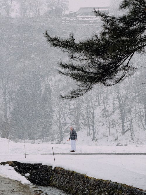 Elderly Man in a Forest in Winter 