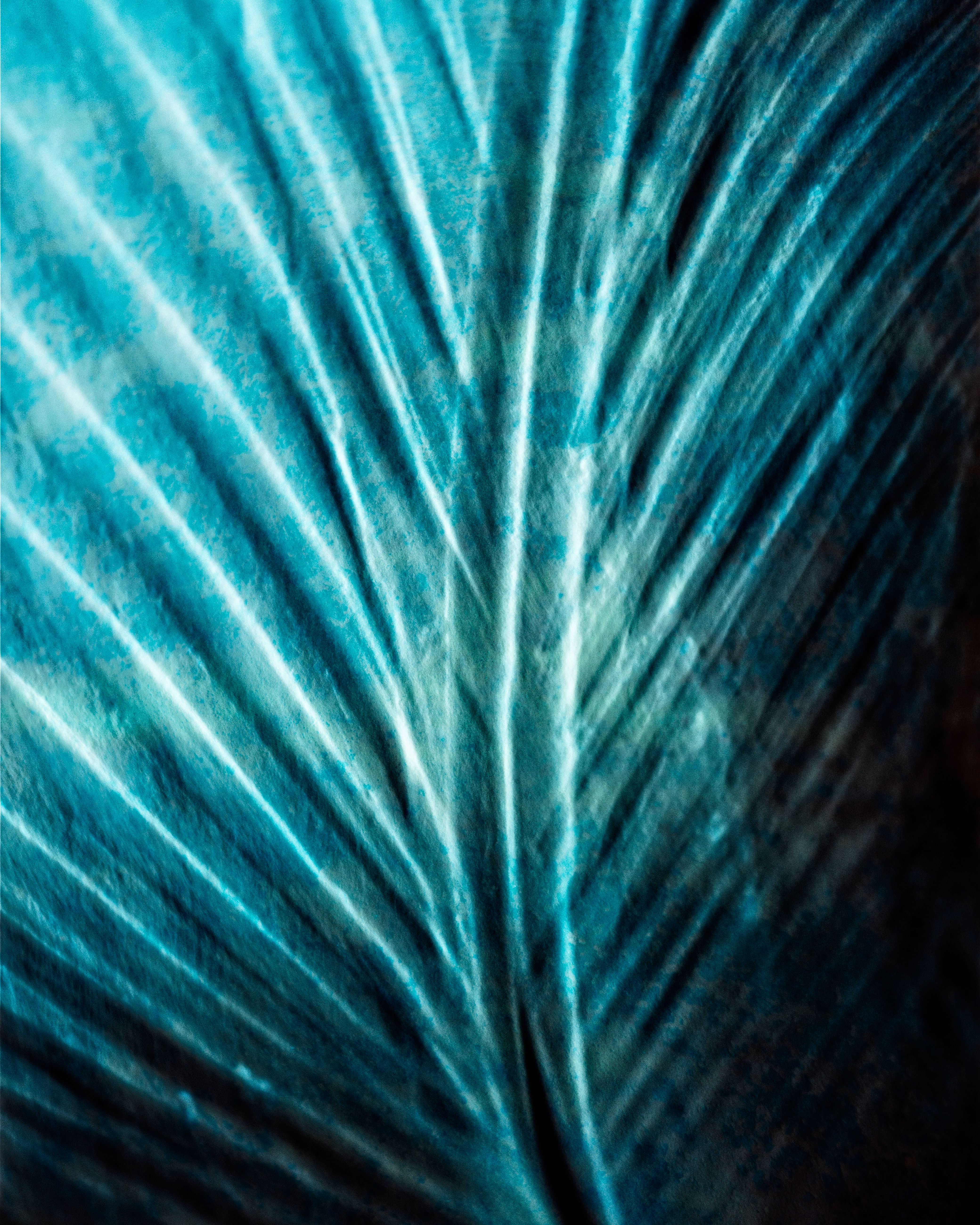 impressionography-org-photos-download-the-best-free-impressionography