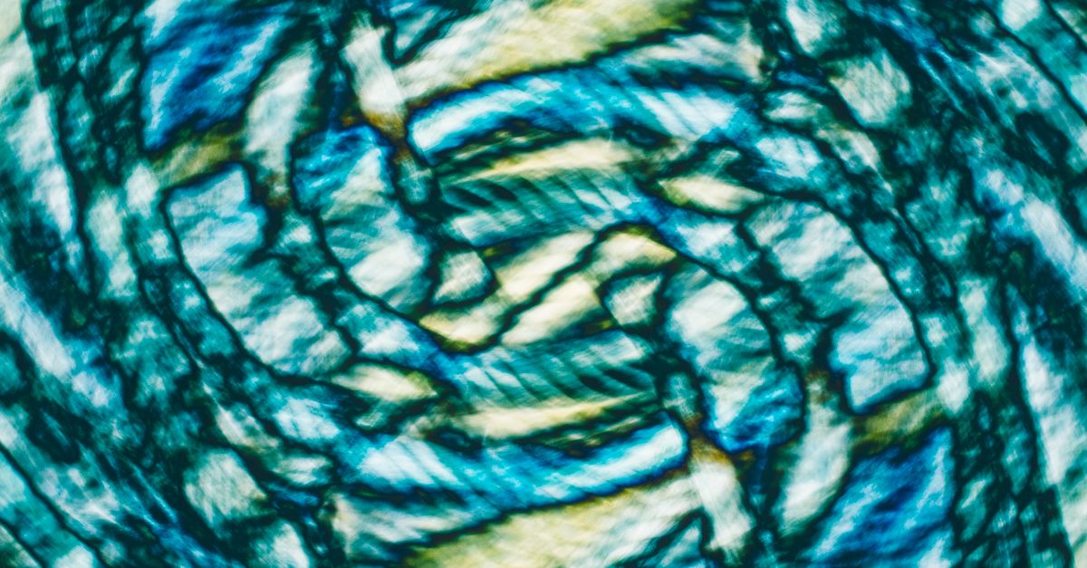 Forming Shapes With Ropes Activity Abstract Ropes Shapes · Free Stock Photo