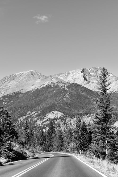 Black and white photo of a mountain road with trees