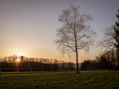 フィールド, フェンス, 日没の無料の写真素材