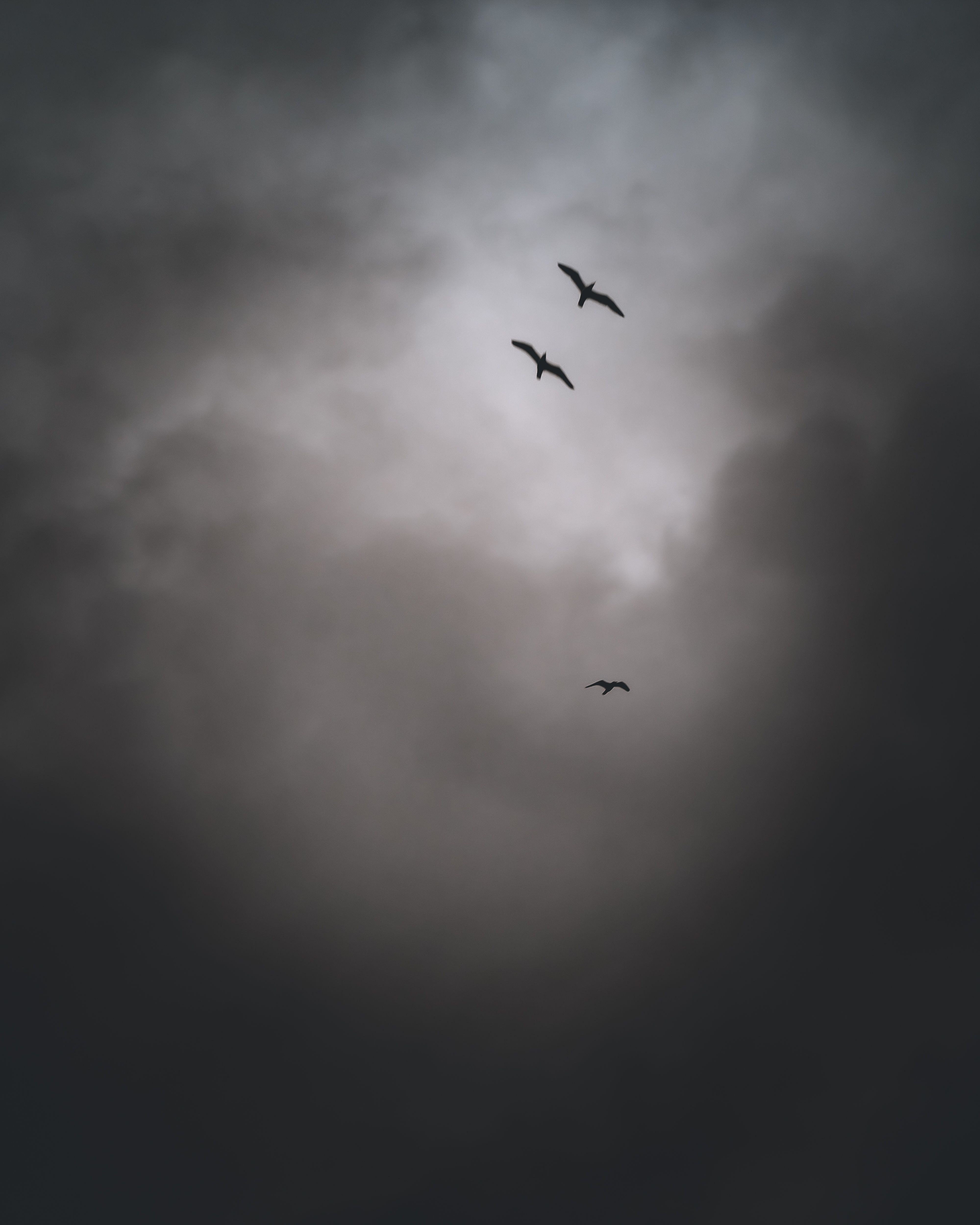 Two birds flying through the clouds in a dark sky · Free Stock Photo