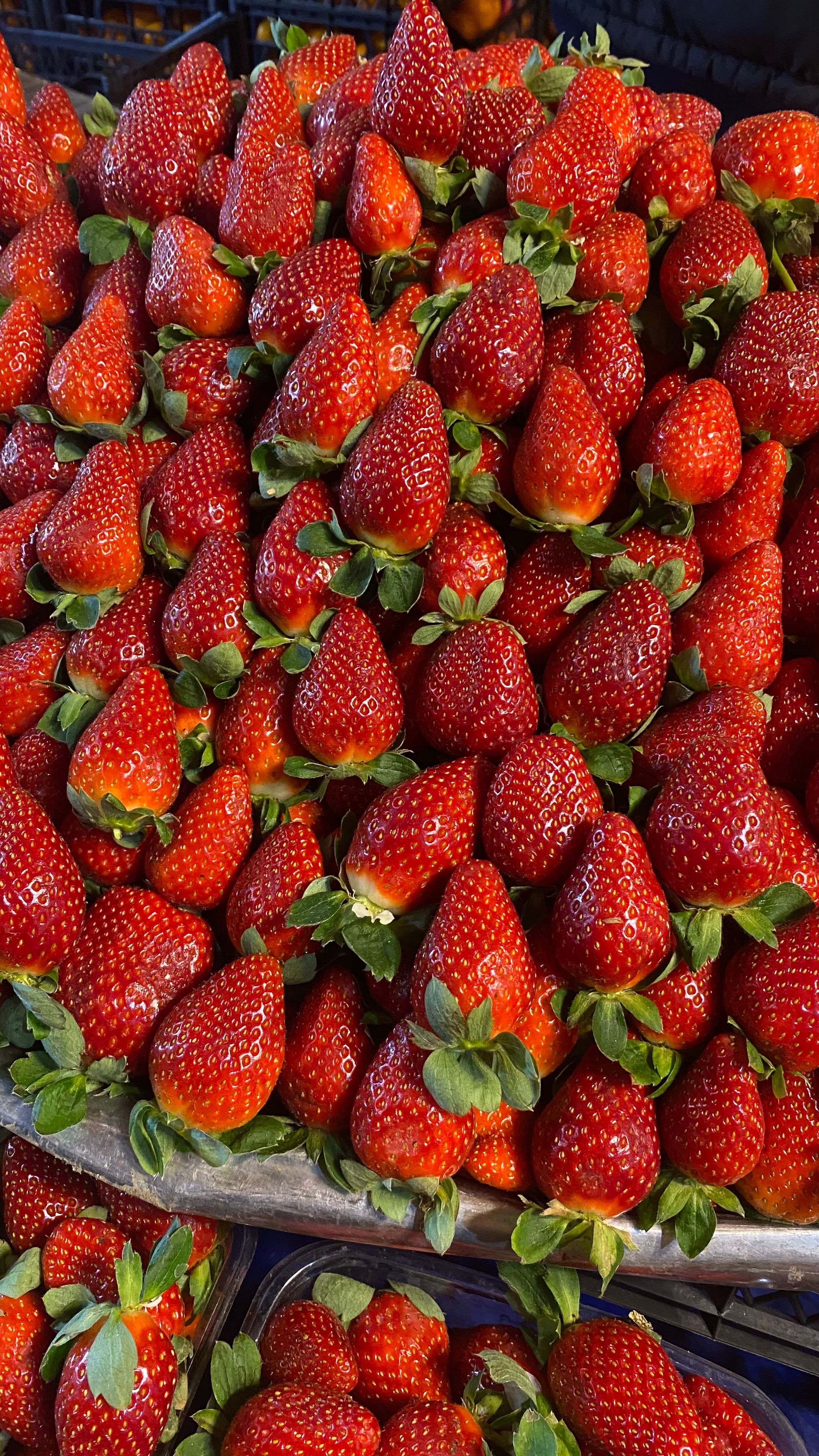 Fotomural Una exhibición vibrante de fresas frescas en un mercado en İzmit, Turquía, mostrando su vívido color rojo y abundancia.