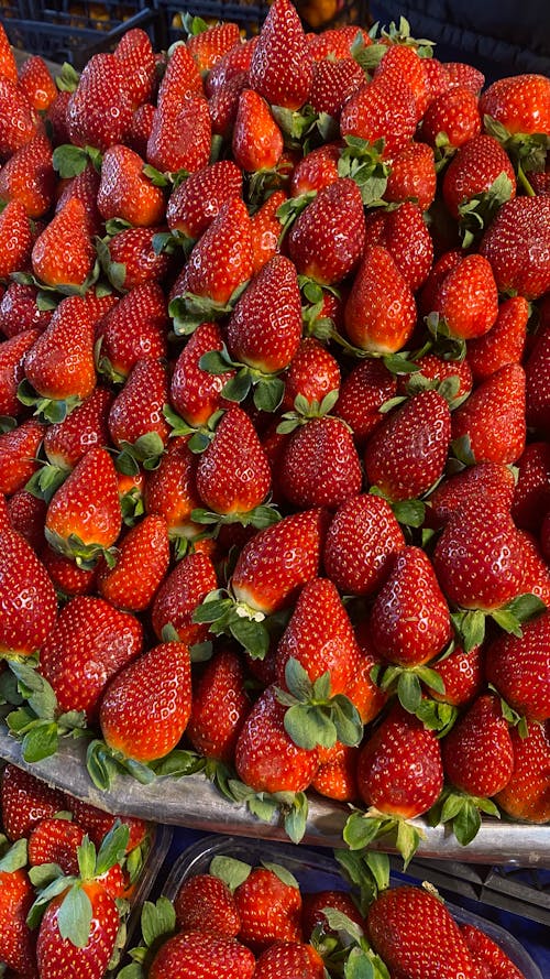 과일, 딸기, 무더기의 무료 스톡 사진