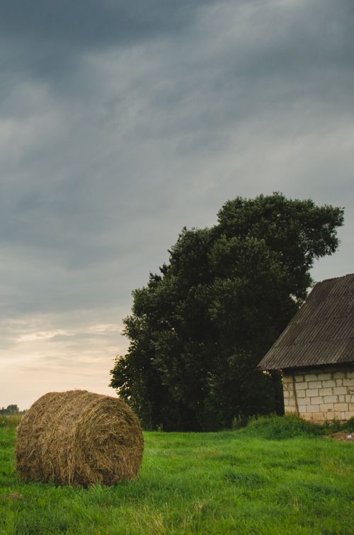 Free Peaceful countryside view featuring a hay bale, tree, and rustic house under a cloudy sky. Stock Photo