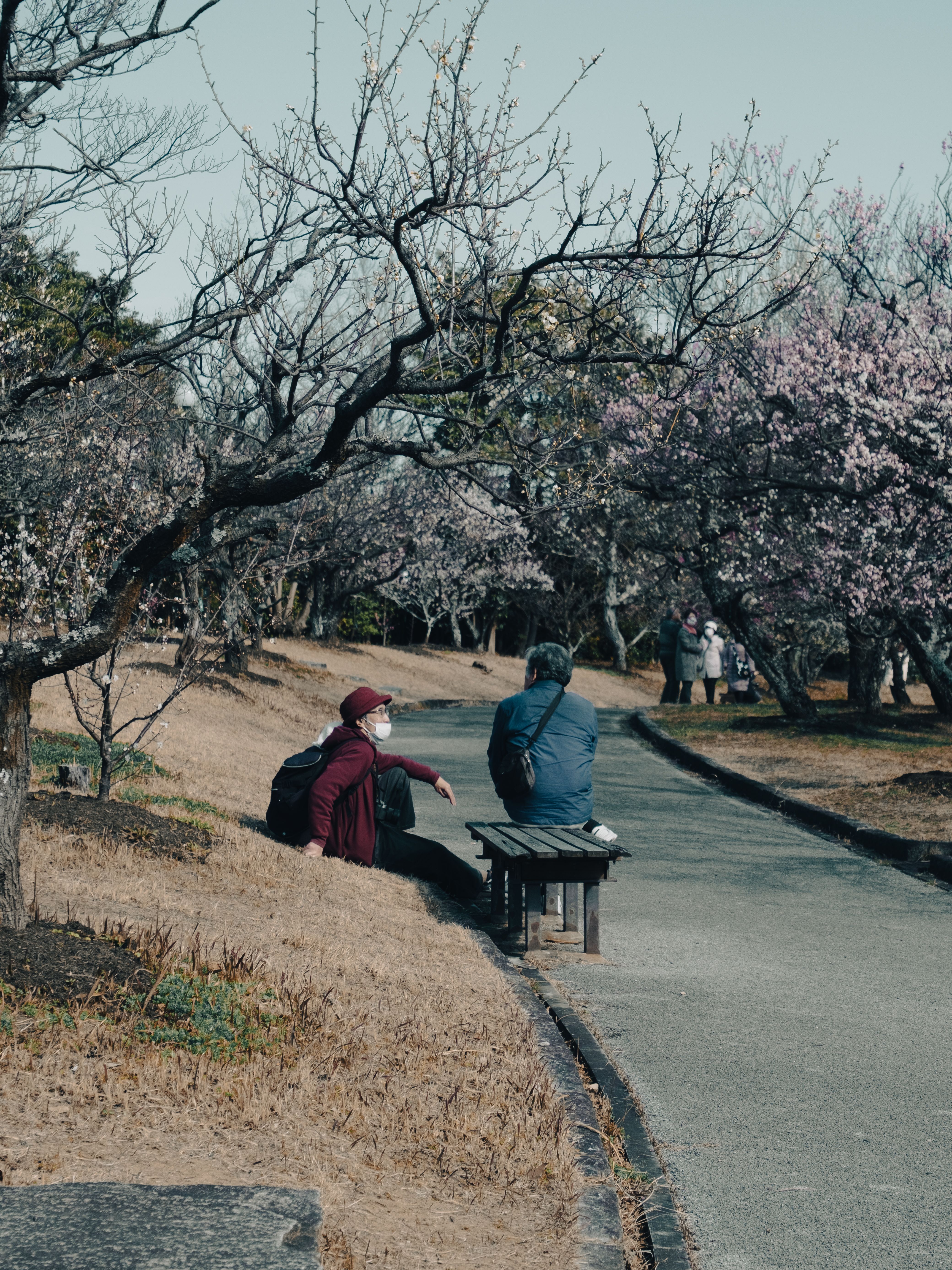 An elderly person sitting in a park in Japan.