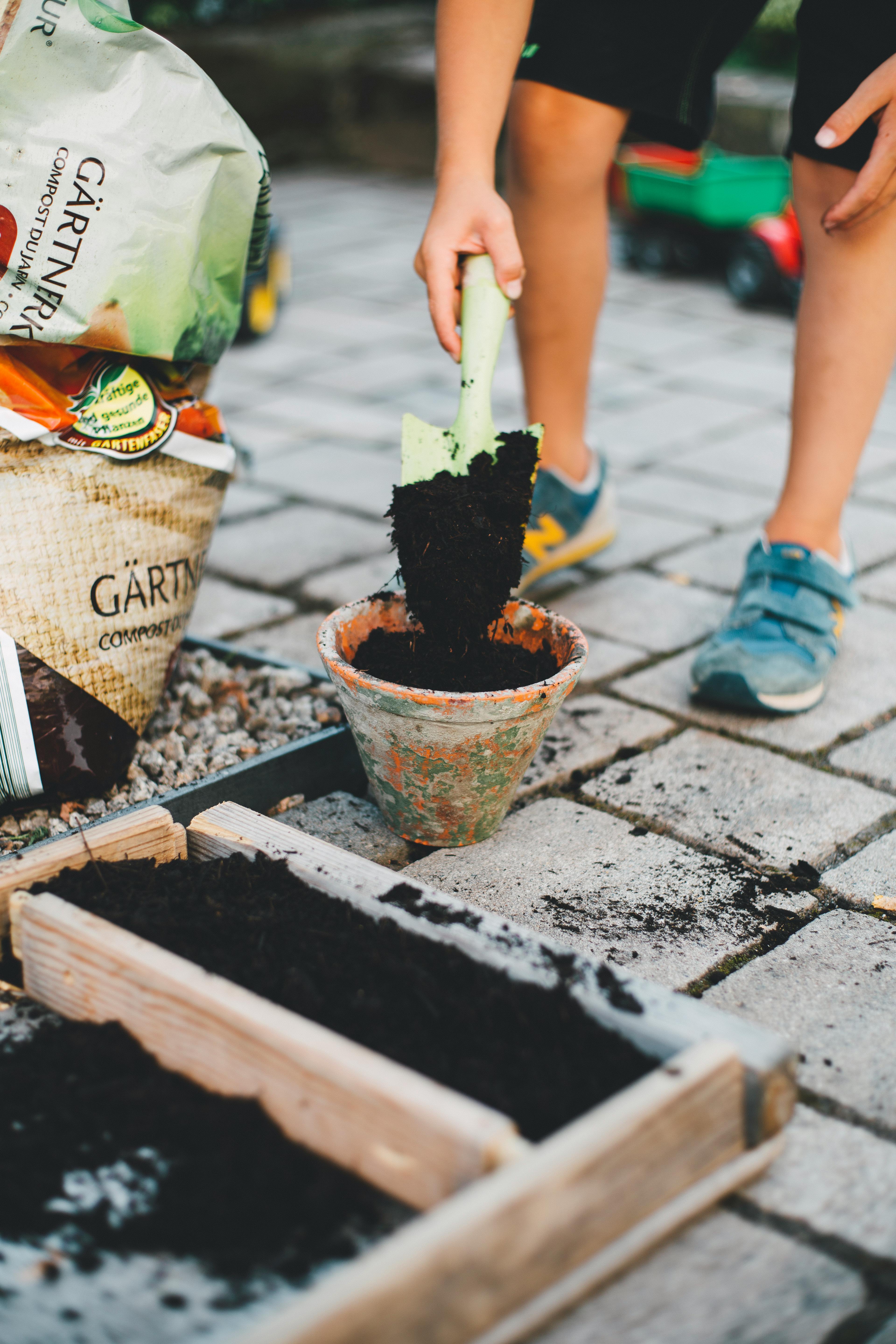 How Can I Grow A Thriving Vegetable Garden In Pots?