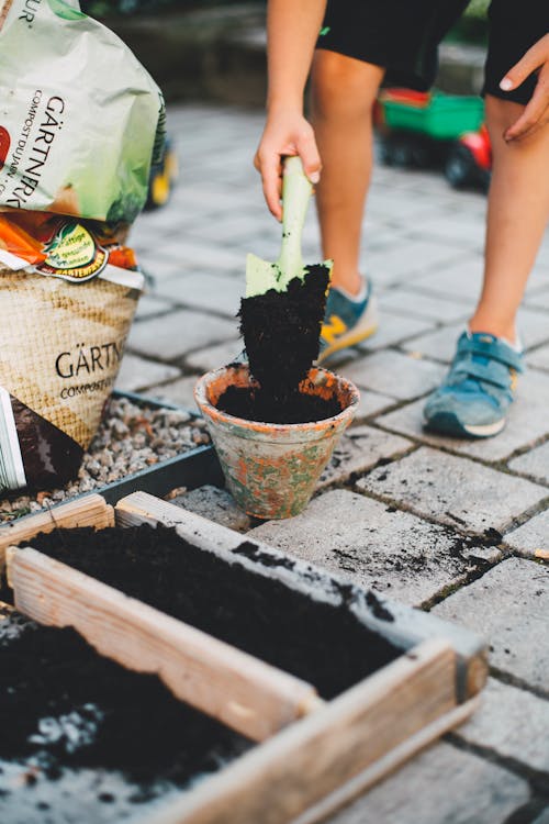 Gratis stockfoto met bloempot, bodem, gecontroleerde landbouw