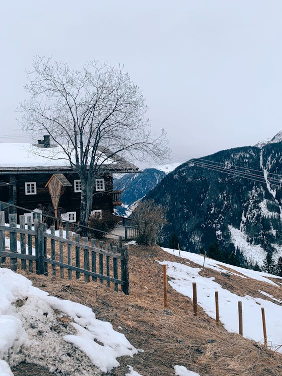 Základová fotografie zdarma na téma budova, domy, dům