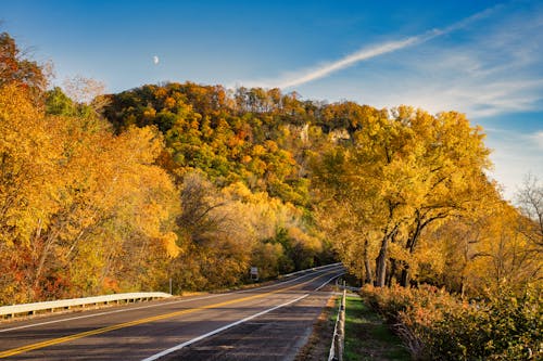 A road with trees and a moon in the sky