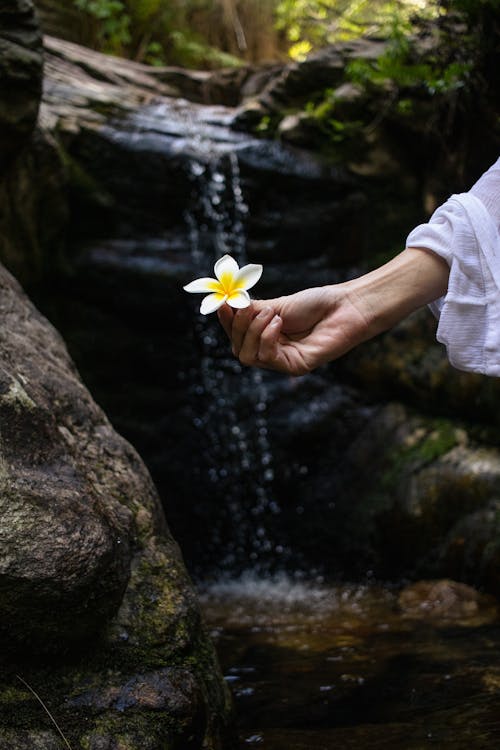 A person holding a flower near a waterfall