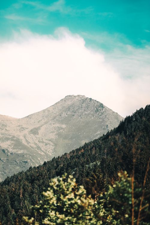 Free Peaceful mountain view with dense forest and clear sky, evoking tranquility. Stock Photo