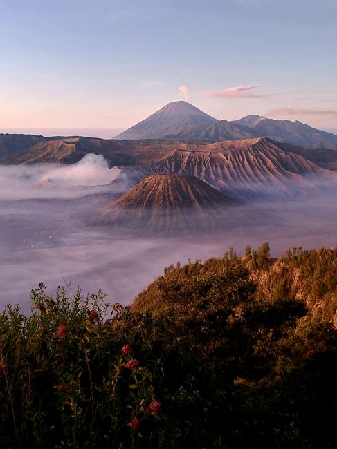 Panoramic view of Mount Bromo and foggy landscape at sunrise in Bromo Tengger Semeru National Park.