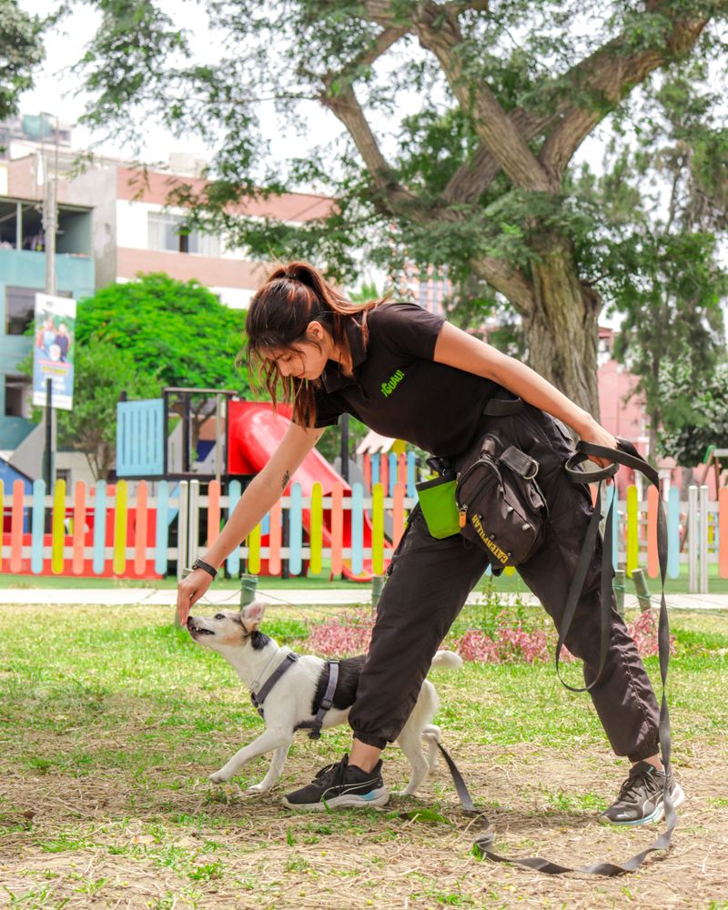 Adestradora no parque oferecendo petisco a um cão de pelo branco preso à guia