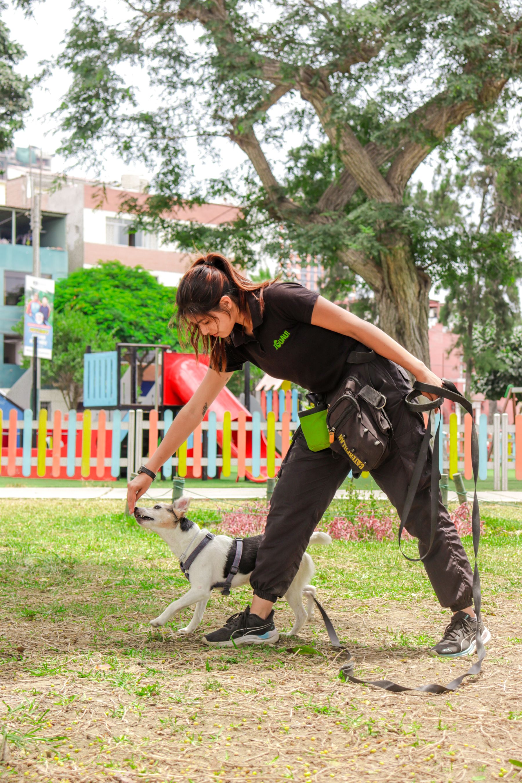 Woman calmly training a dog outdoors in a green park