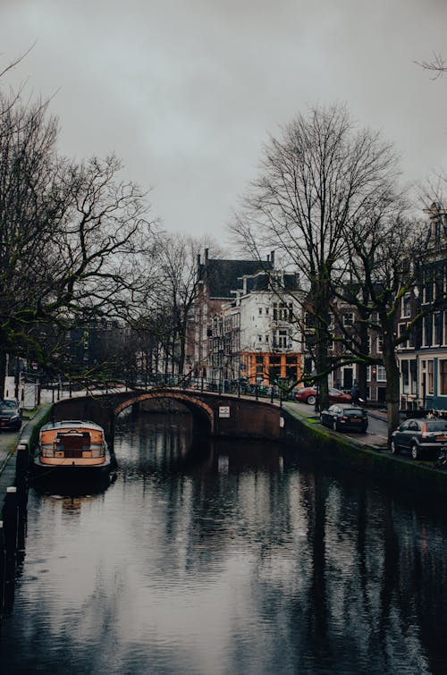Безкоштовне стокове фото на тему «Амстердам, вертикальні постріл, дерева»