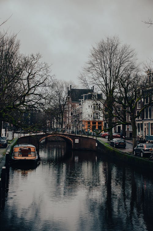 Foto d'estoc gratuïta de amsterdam, arbres, canal