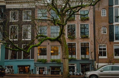 Kostnadsfri bild av amsterdam, bil, bostad