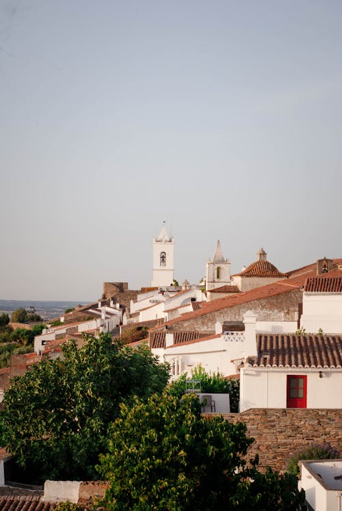 Trees and Houses in Town