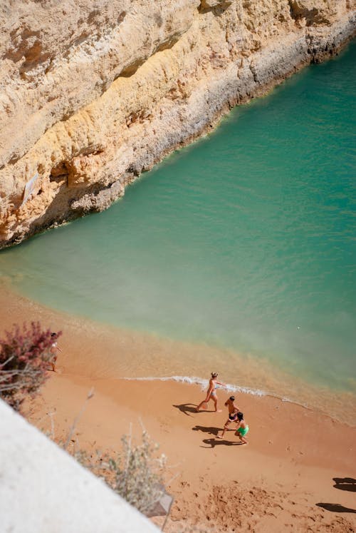 People on Beach on Sea Shore