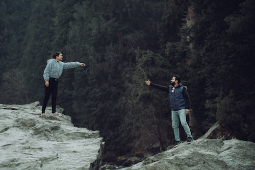 Fotos de stock gratuitas de bosque, caminantes, hombre