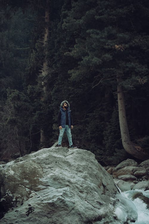 Foto d'estoc gratuïta de bosc, excursionista, home