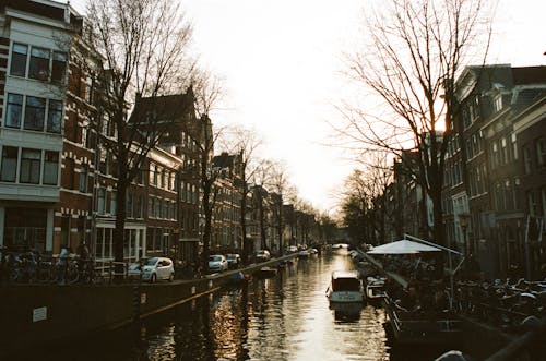 Imagine de stoc gratuită din Amsterdam, apus, arbori