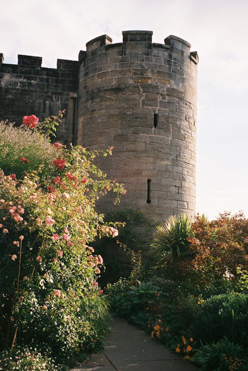 Imagine de stoc gratuită din amestecând castelul, arbuști, călătorie