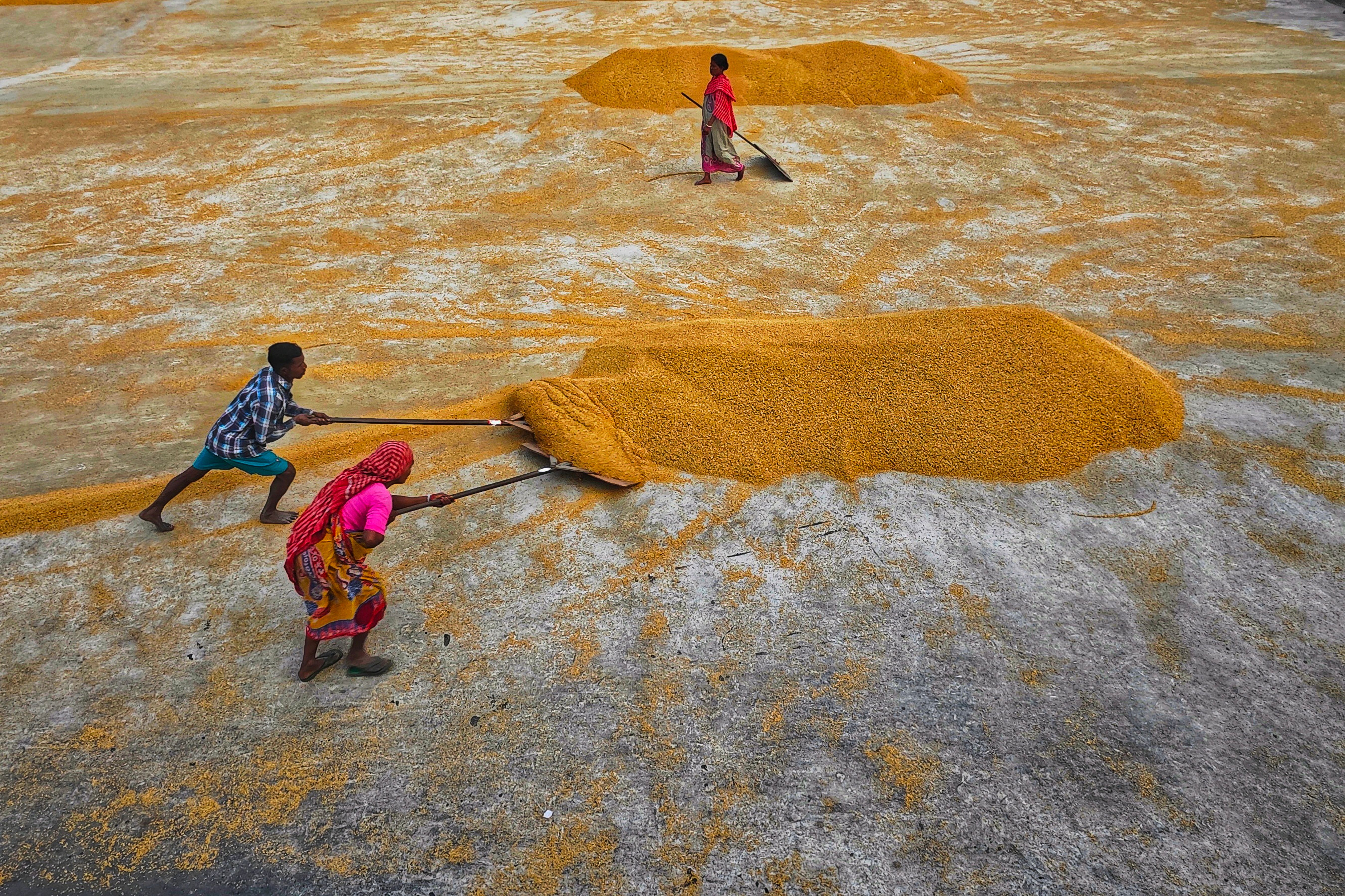 Women and Boy Working on Rural Field · Free Stock Photo