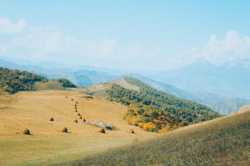 丘陵, 乾草, 天性 的 免費圖庫相片