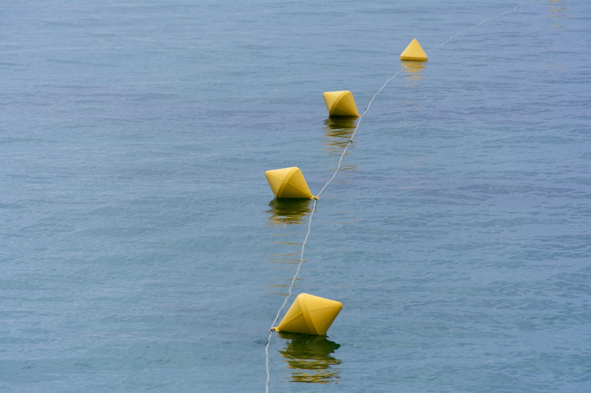 Línea de boyas amarillas flotando sobre la superficie del mar