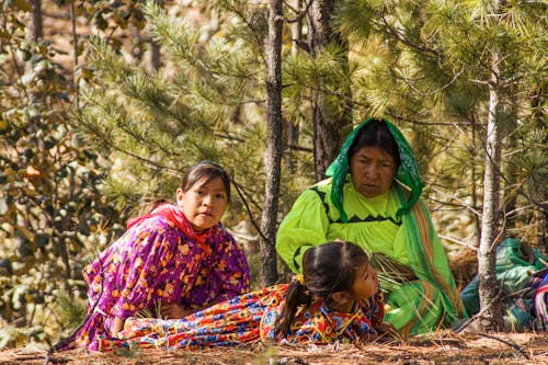 Three women sitting on the ground in front of a tree