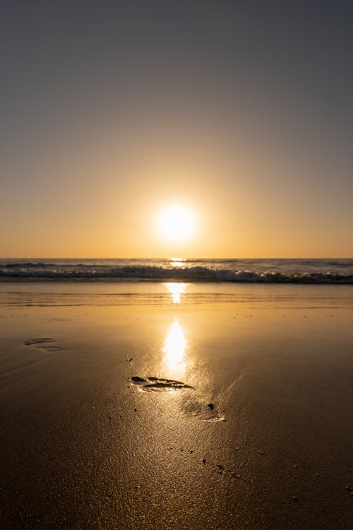 Бесплатное стоковое фото с вертикальный выстрел, влажный песок, восход