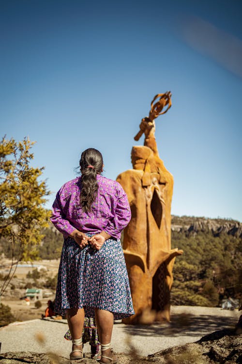 Foto profissional grátis de chihuahua, nativo, nativos