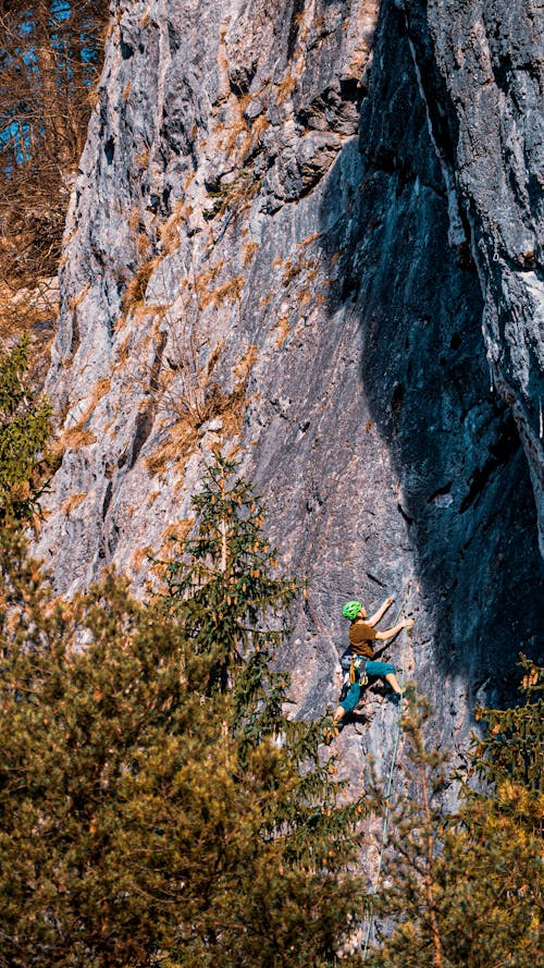Fotos de stock gratuitas de alpinismo, arboles, deporte