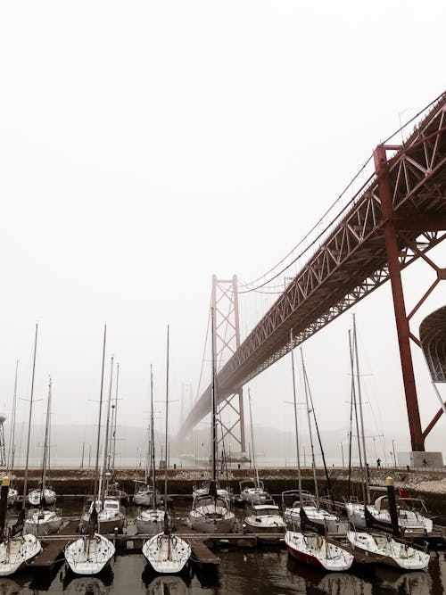 Бесплатное стоковое фото с 25 апреля мост, берег, вертикальный выстрел