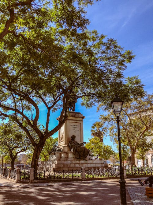 Trees around Monument in Park